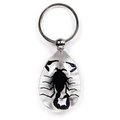 Ed Speldy East ED SPELDY EAST SK608 Key Chain  Tear Drop Shape  Clear  Black Scorpion SK608